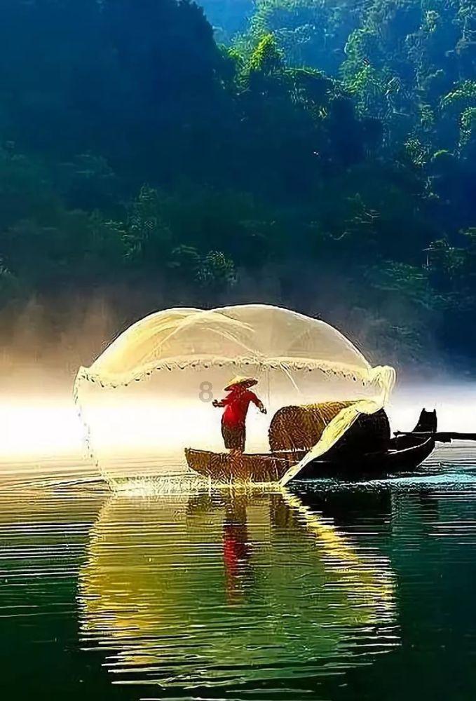 拯救机灵鸟